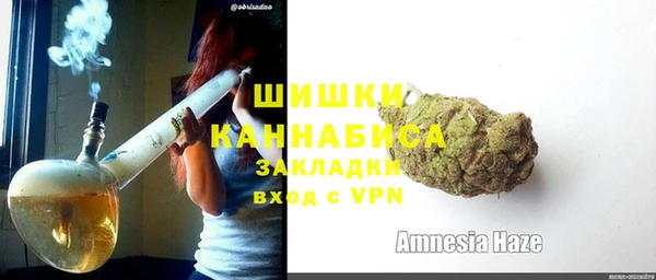 крисы Киров